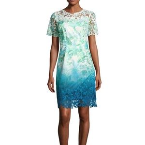 Elie Tahari Ombré Lace Trim Dress, size 4